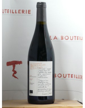 Vin de France - Mourgues du Grès - "Voyageurs" 2021