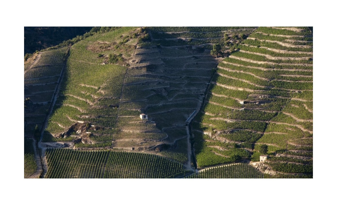 Les 5 appellations rouges du Rhône nord à connaître absolument