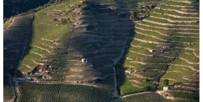 Les 5 appellations rouges du Rhône nord à connaître absolument Les 5 appellations rouges du Rhône nord à connaître absolument