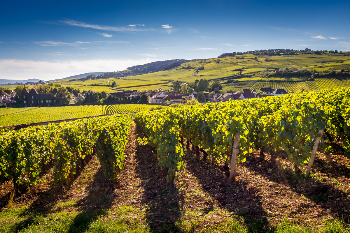 de Bourgogne 